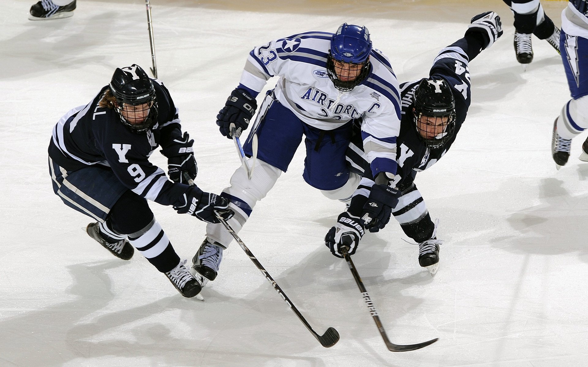 新西兰橄榄球青训系统持续创新,培养未来顶尖球员,新西兰橄榄球规则